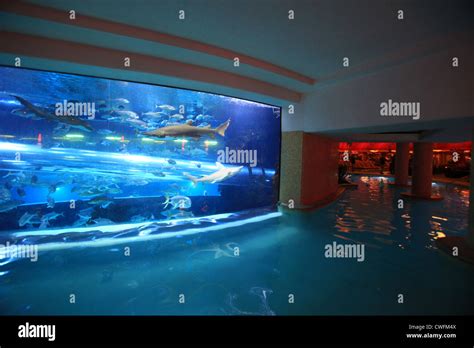 vegas hotel with shark tank.